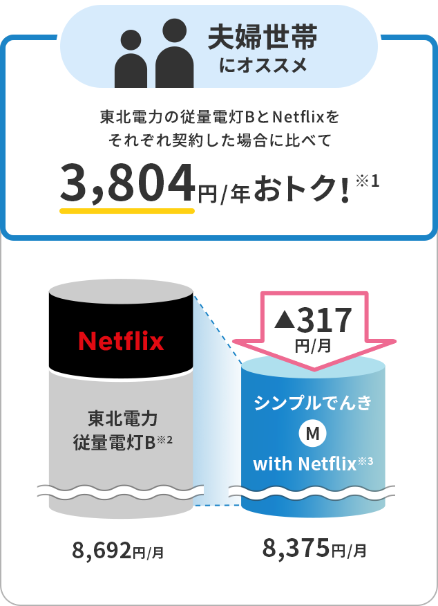 東北電力の従量電灯BとNetflixをそれぞれ契約した場合に比べて3,804円/年おトク!※1